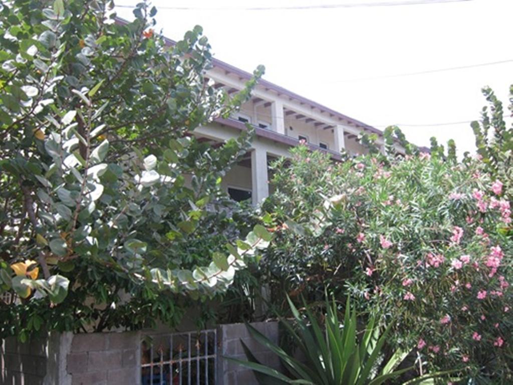 Hotel Culture House Basseterre Exterior foto