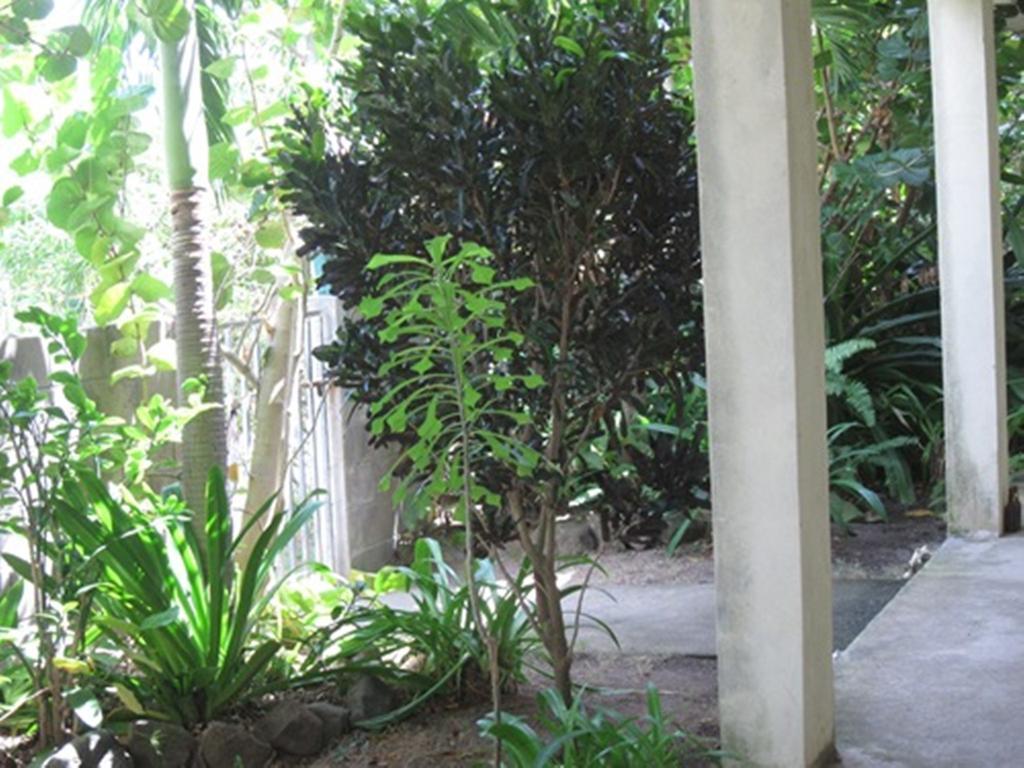 Hotel Culture House Basseterre Exterior foto